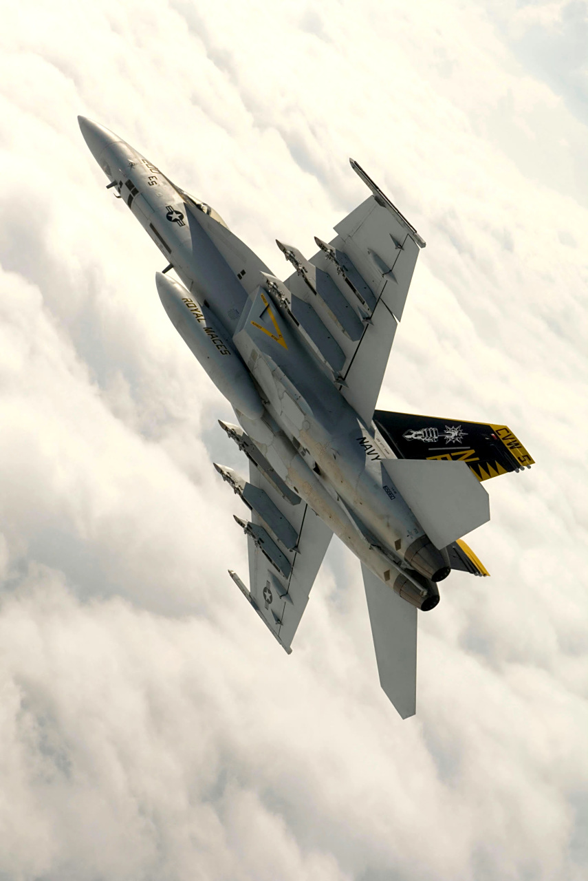 战机欣赏:美国海军 fa-18e"超级大黄蜂"战斗机,f-14战斗机退役之后的