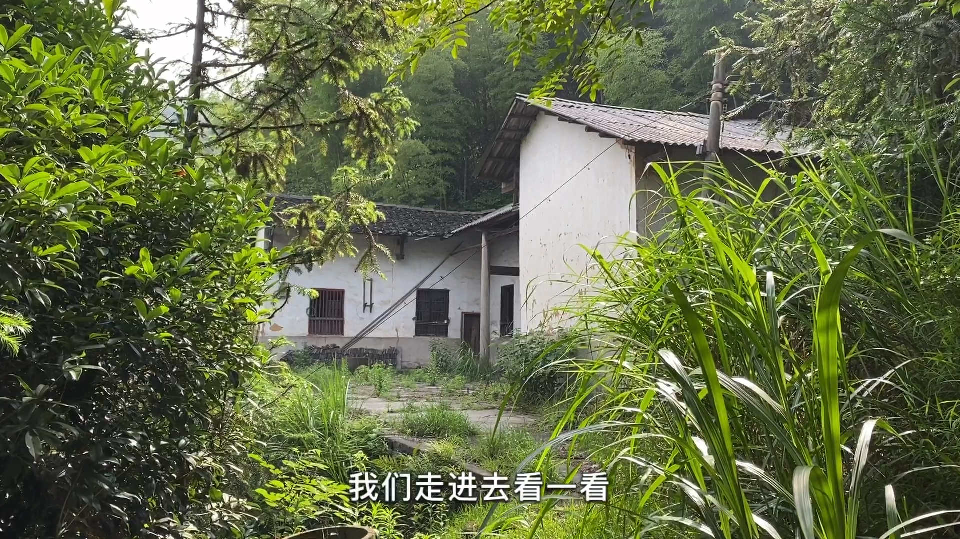 长沙最高峰发现荒废的房子,改造成农家小院,周末来住住很不错