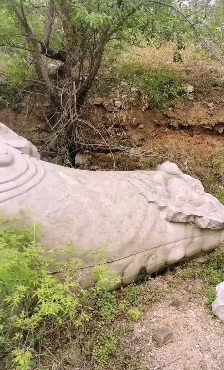 埋葬的墓主人就是康熙皇帝的皇二子胤礽,也就是那位被两立两废的太子