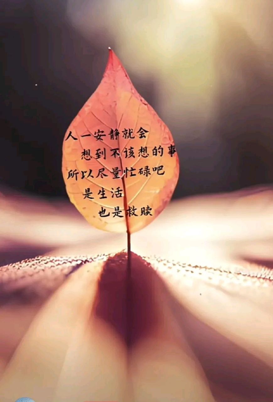 风太大了,把心吹凉了 再也回不到从前的样子了  圈子越来越小 话也