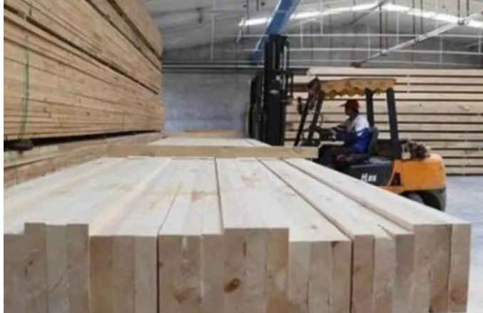 龙邦海关靠前服务 助力木材企业勇闯国际市场