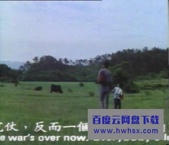 《越战仅存者》4k|1080p高清百度网盘