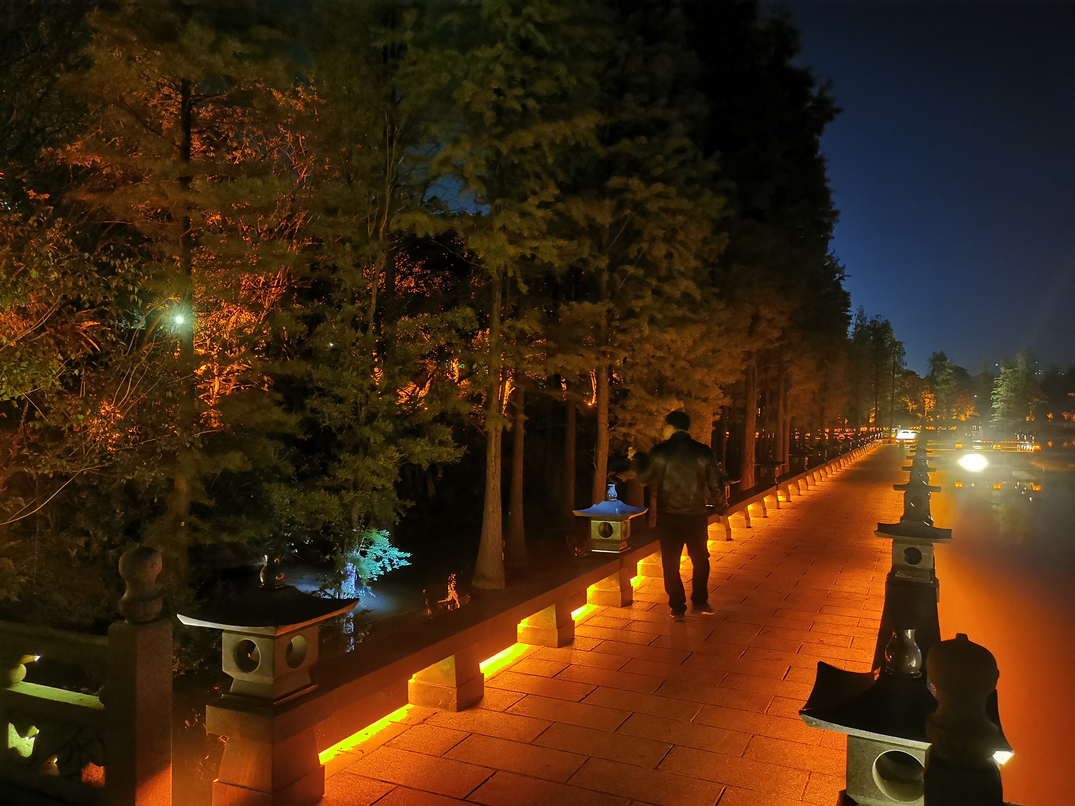 桂林公园夜景图片