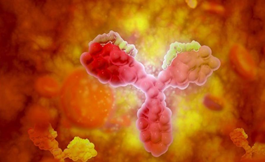 小伙献血被验出"小p型血",比熊猫血稀有得多,不为发财大格局