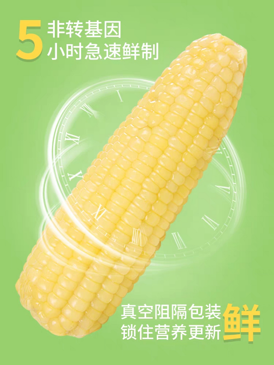 走进一个神秘的世界——非转基因玉米的王国.