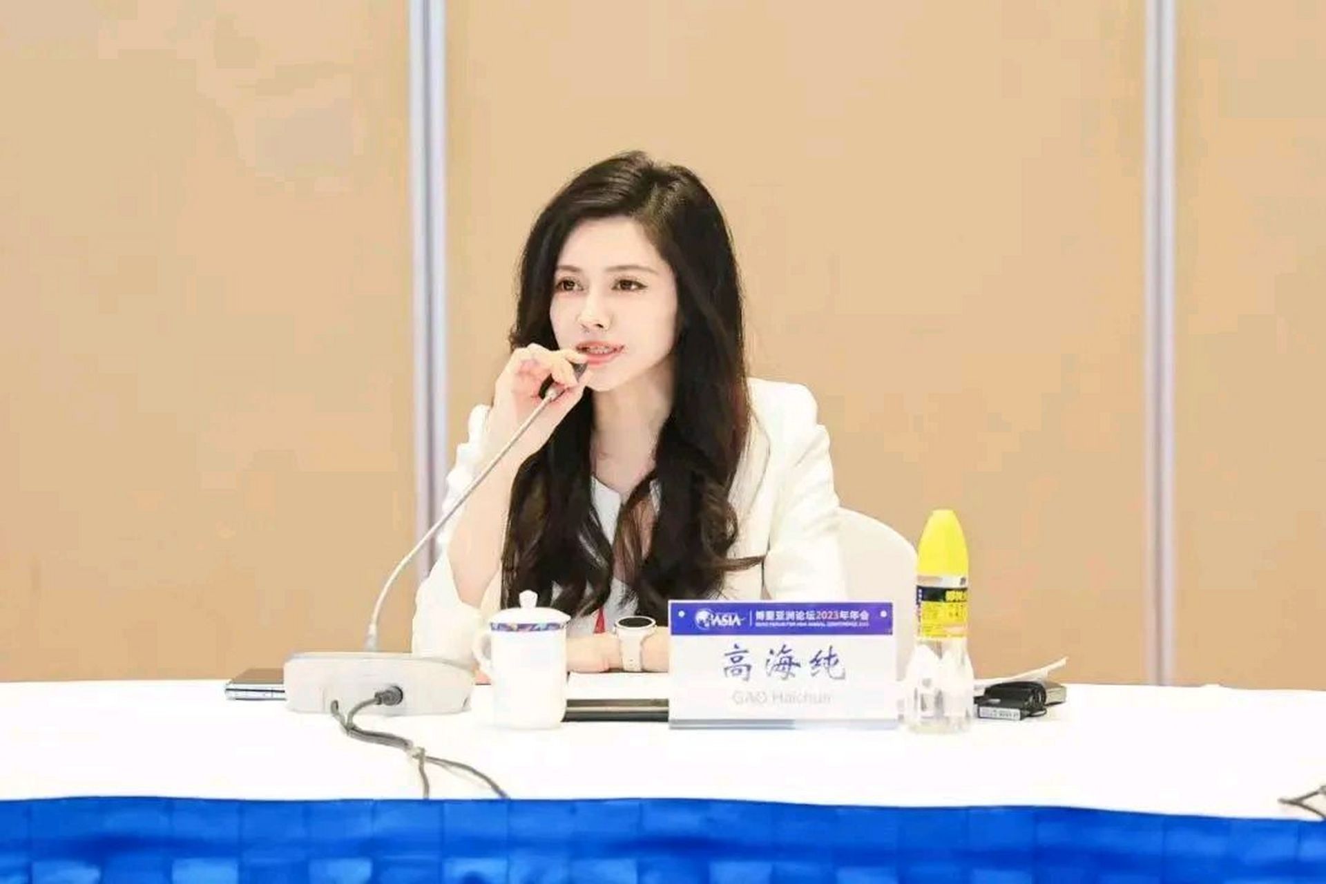 她就是高海纯,1993年出生的高海纯,曾任天合光能股份有限公司执行总裁