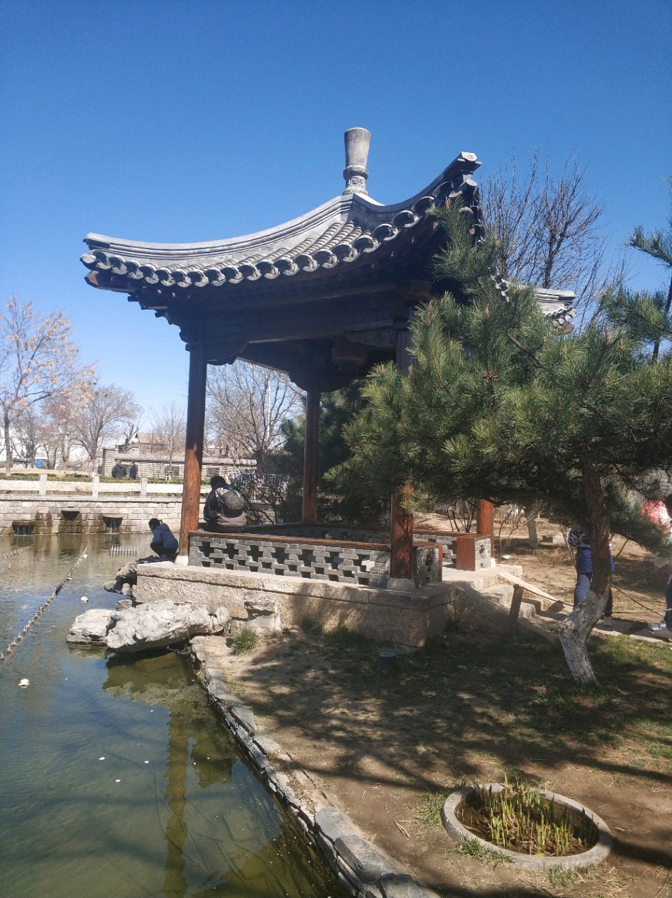 美丽的三里河公园,宛如人在画中行.