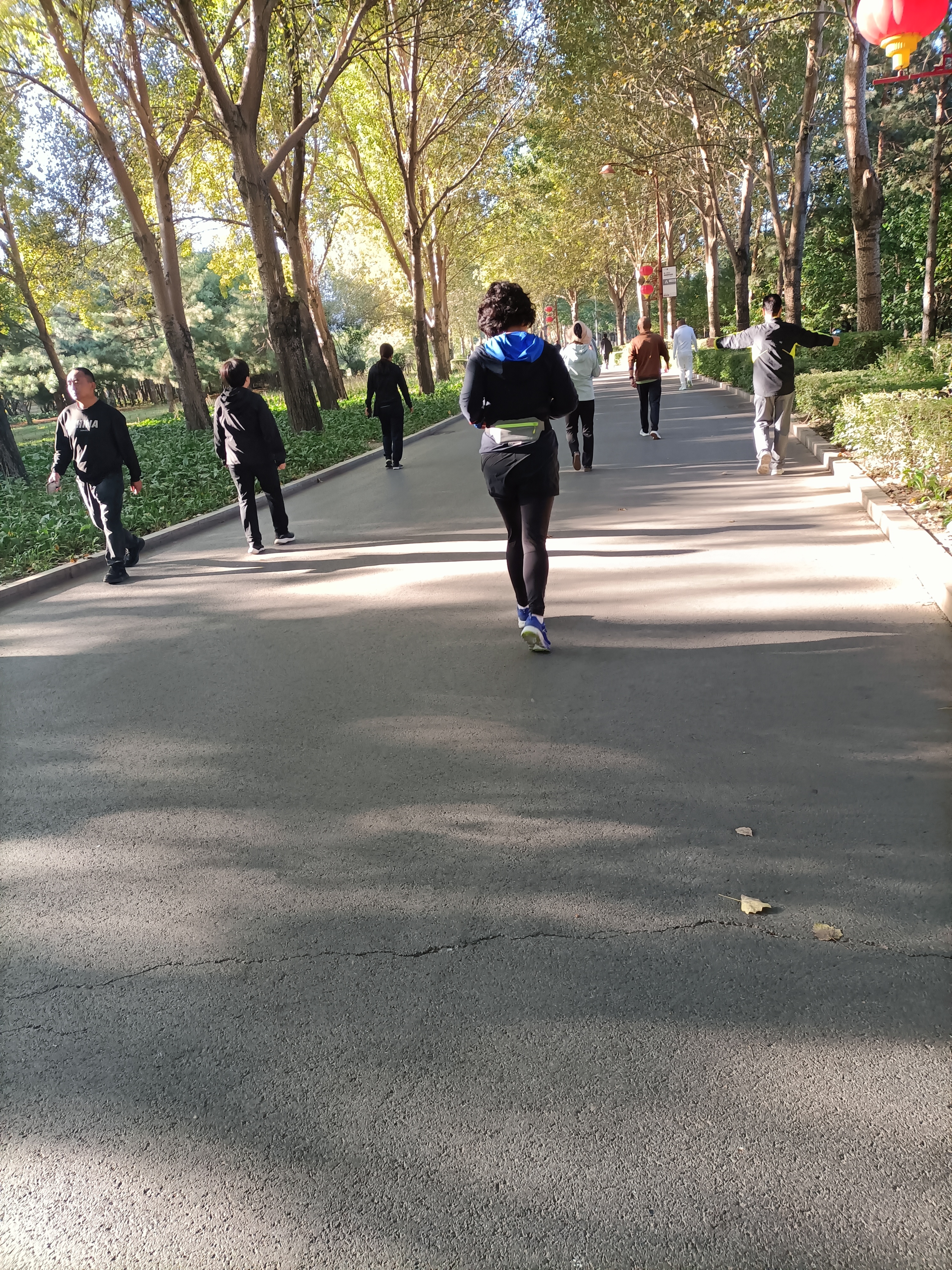 年轻人参加晨练的益处