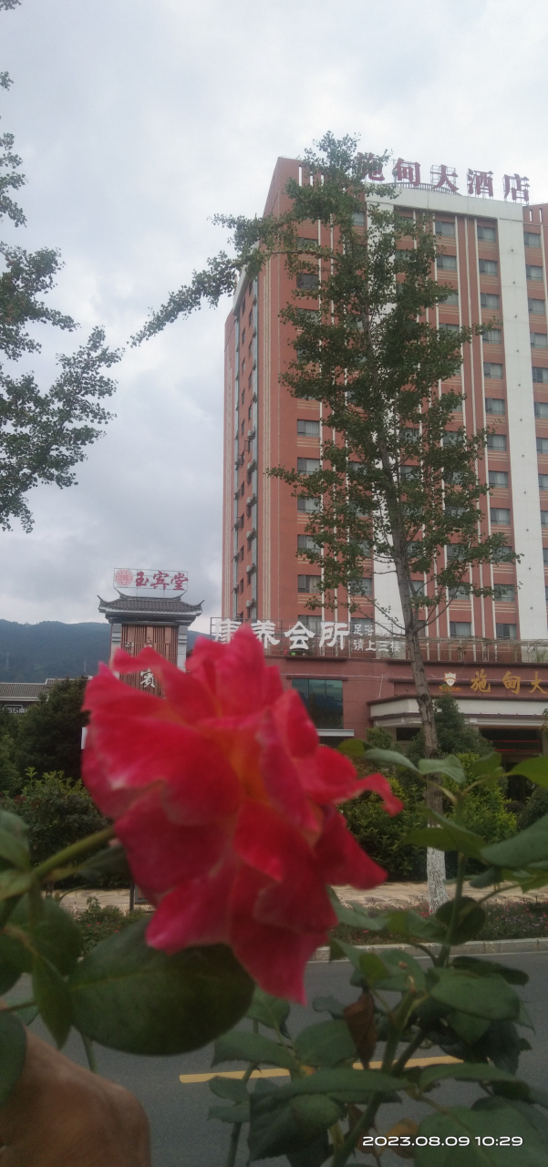 我每天在施甸大酒店的路边过出过进,看的时间长了,也觉平淡无奇,我用