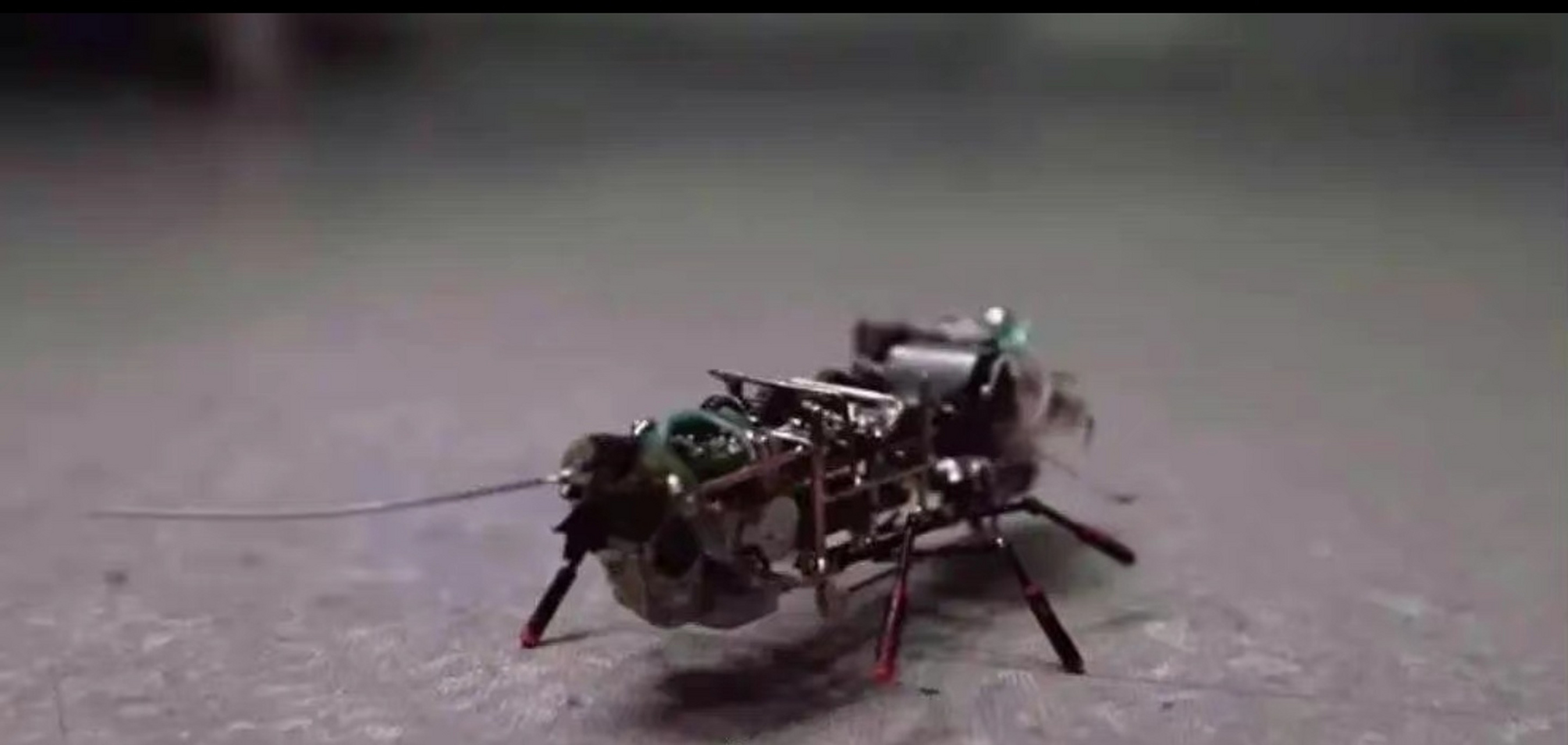 【受昆虫启发的微型机器人,可监控人类难以到达的区域[送花花][送花花