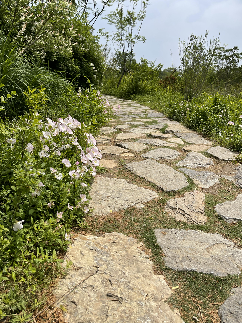 徐州五山公园,美极了[吃鲸][互粉]