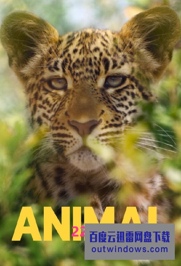[电视剧][动物本色 Animal 第二季][全04集][英语中字]1080p|4k高清
