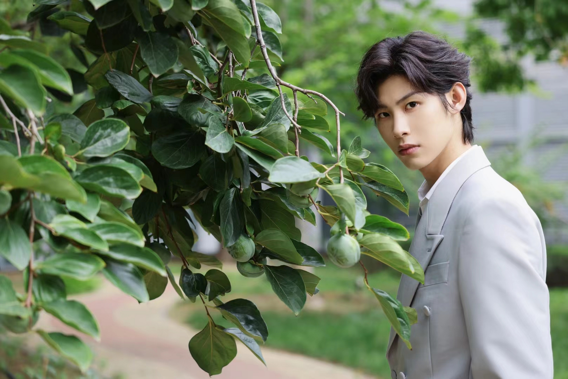 沈博怀  74今晚19:30 央视三套cctv-3《开门大吉》