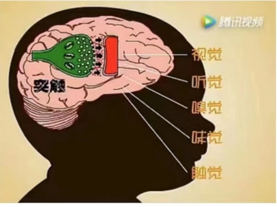 [心]育儿笔记分享[心]  孩子在大脑发育的关键期,特别是0到6岁之间