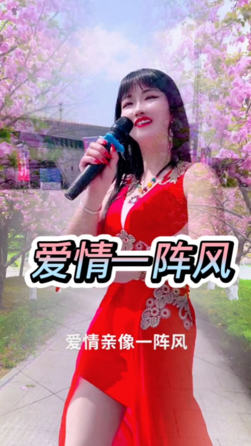 兰梅#爱情一阵风