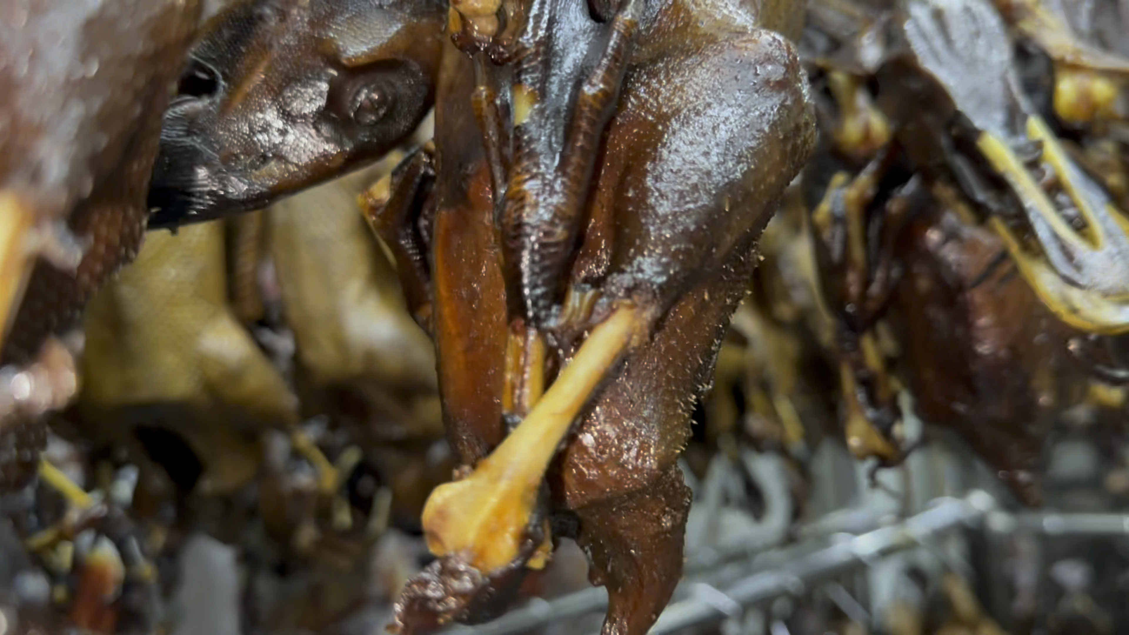 澄海卤水老鸭母,卤制三个小时,手撕老鸭母过节手信必备