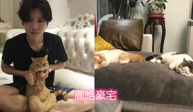 鹿晗别墅,欧式装修简单大气,旋转楼梯夺人眼球,爱了!爱了!