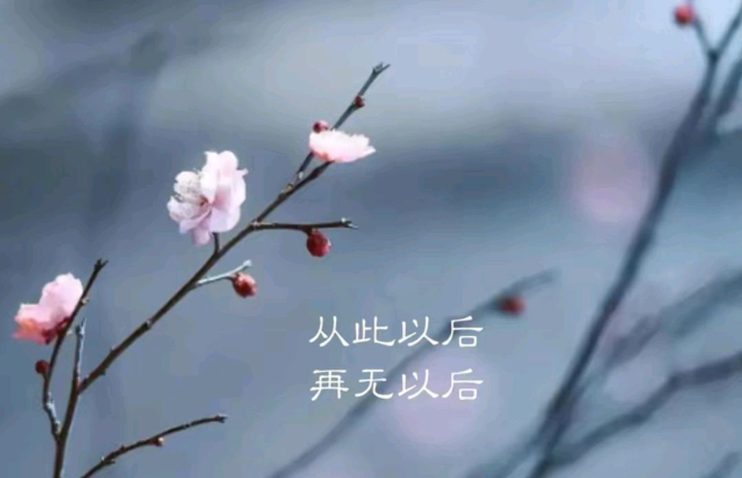 费尽心机换来的爱情,终究是一场空