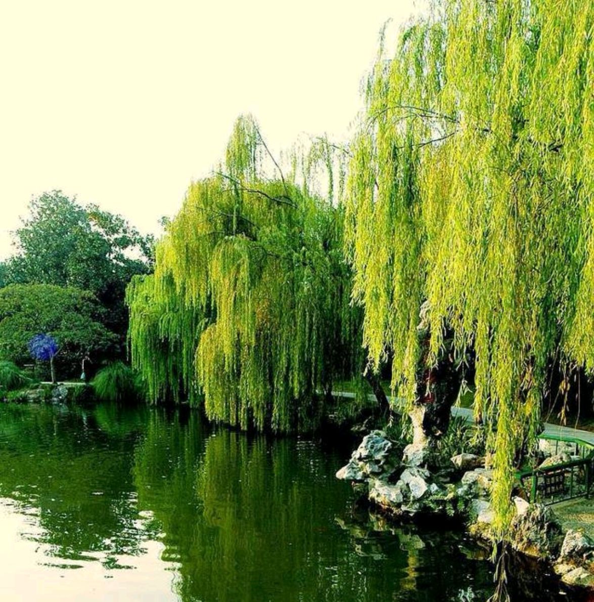 草长莺飞,杨柳拂堤,赏春日明媚,四时更迭,看千里江山又现青绿