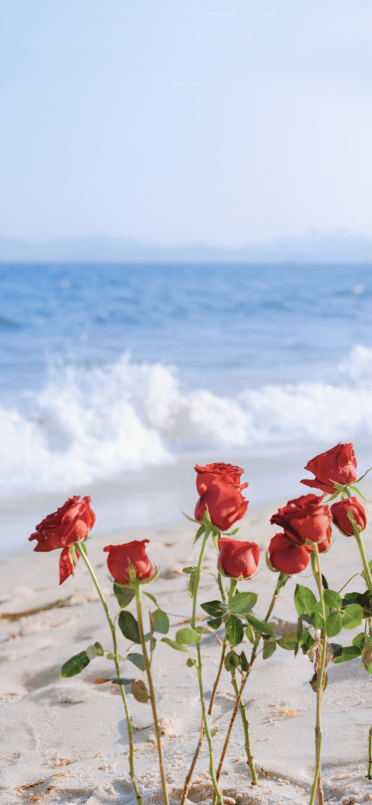 人见人爱的壁纸,速速收藏