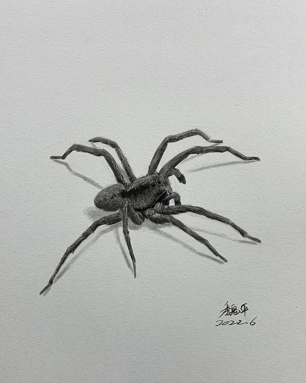 来自魏平老师的一些小素描示范.#美术生# #画画# #素描