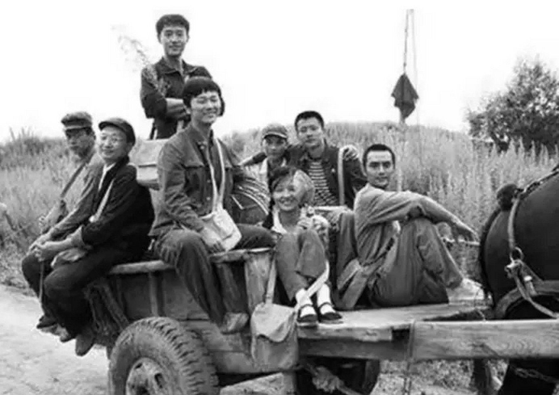 1974年某天早上,20岁的知青张志远径直走进寡妇胡庭秀的家里,然后直接