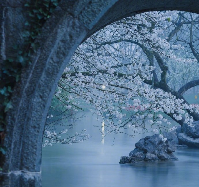 李重元:雨打梨花深闭门!