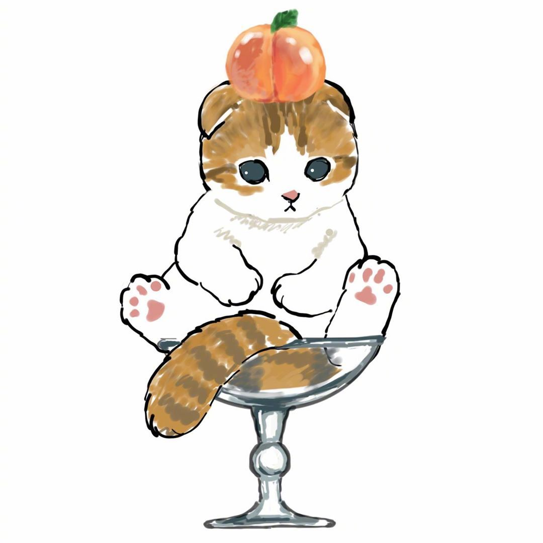 可爱猫咪消夏计划