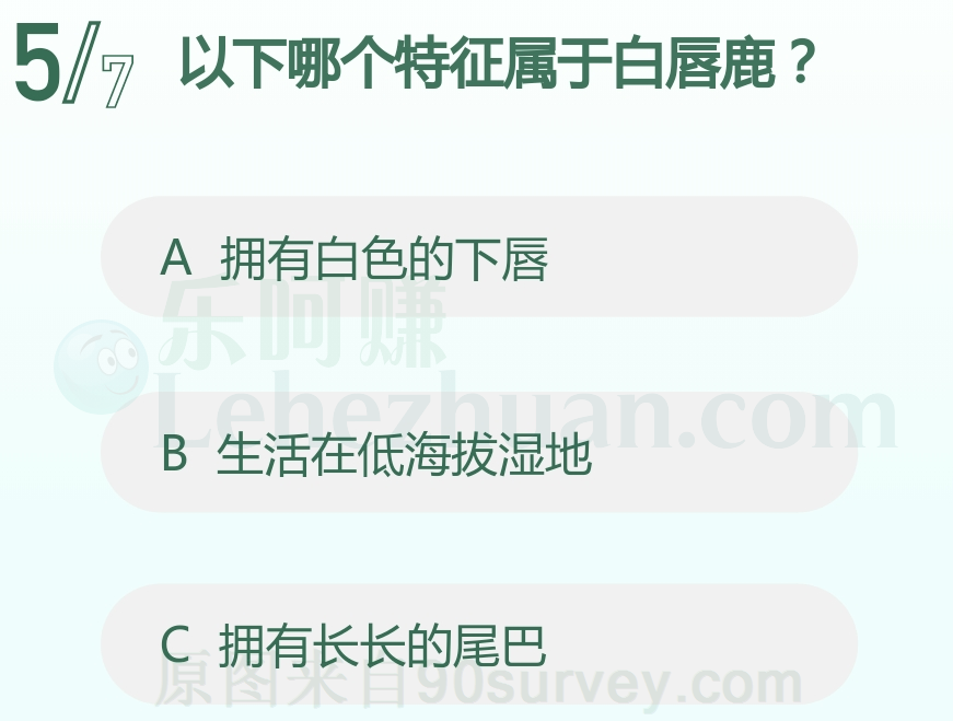 白唇鹿拥有白色的下唇
