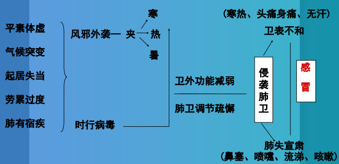 中医对感冒的认知