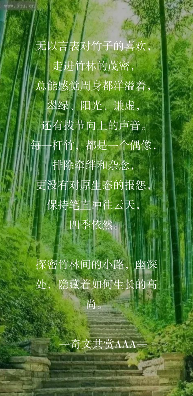 每一杆竹,都是一个偶像/原创现代诗 奇文共赏aaa