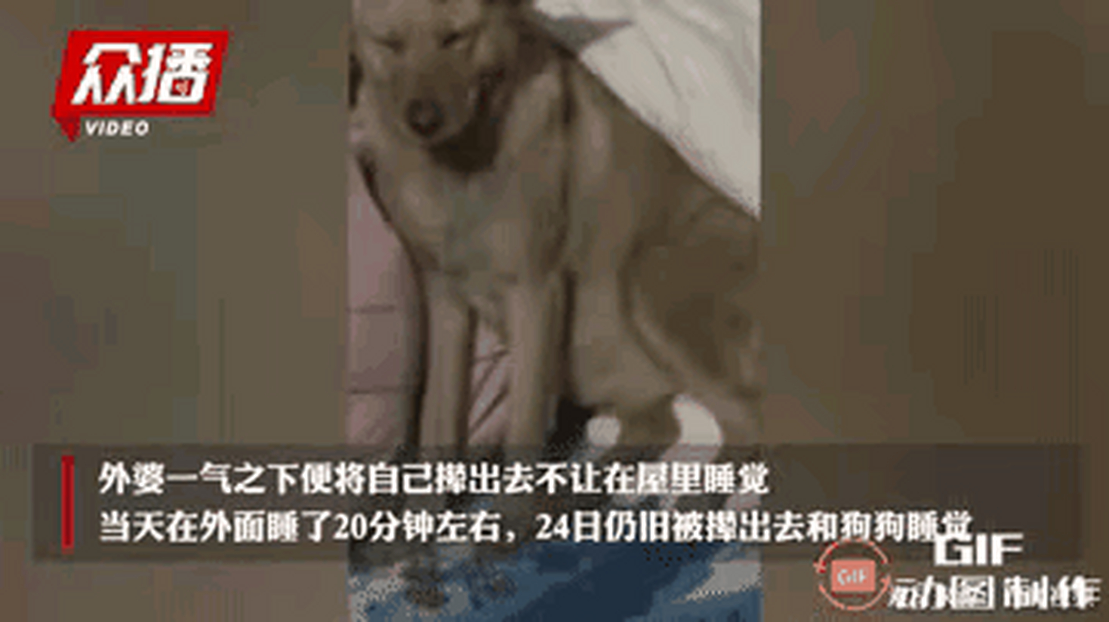 河南驻马店发生了一起女孩因不愿相亲被奶奶赶出家门的事件.