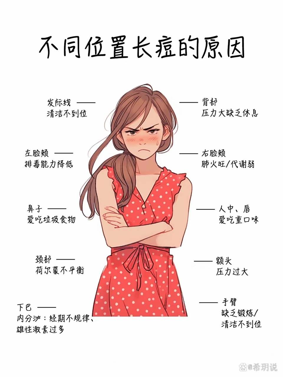 身体不同位置长痘痘的原因