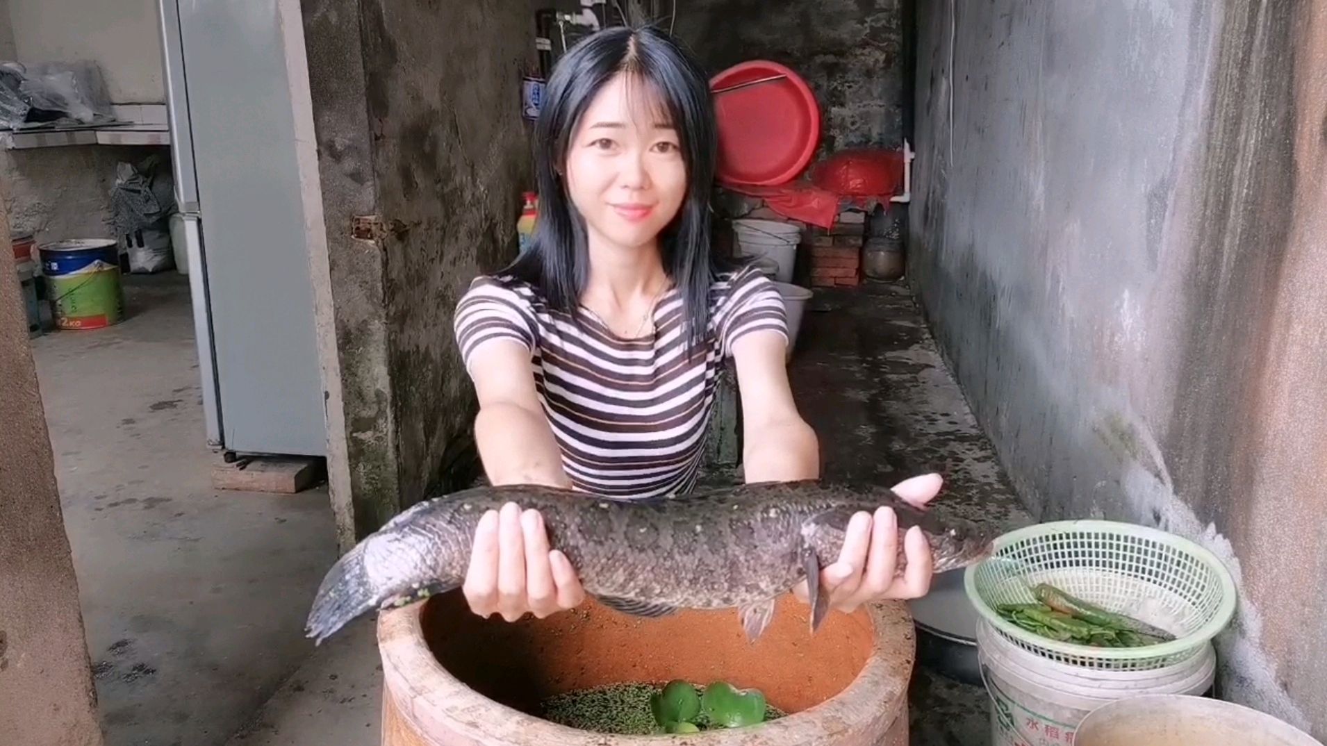 抓到的各种野生鱼全部放大缸里养,自然生长一个月后会怎么样?