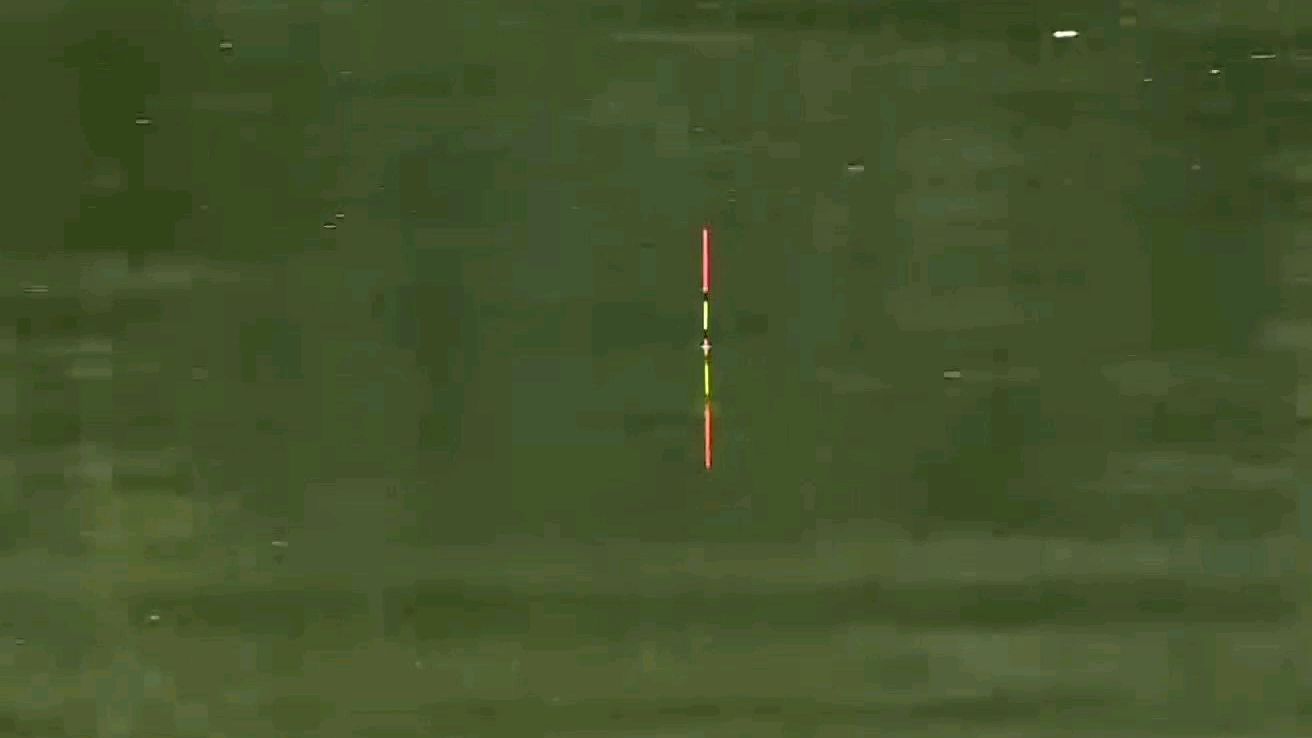 浮漂漂相有动作却不中鱼?除却小杂鱼闹窝外,扁鱼才是最大元凶