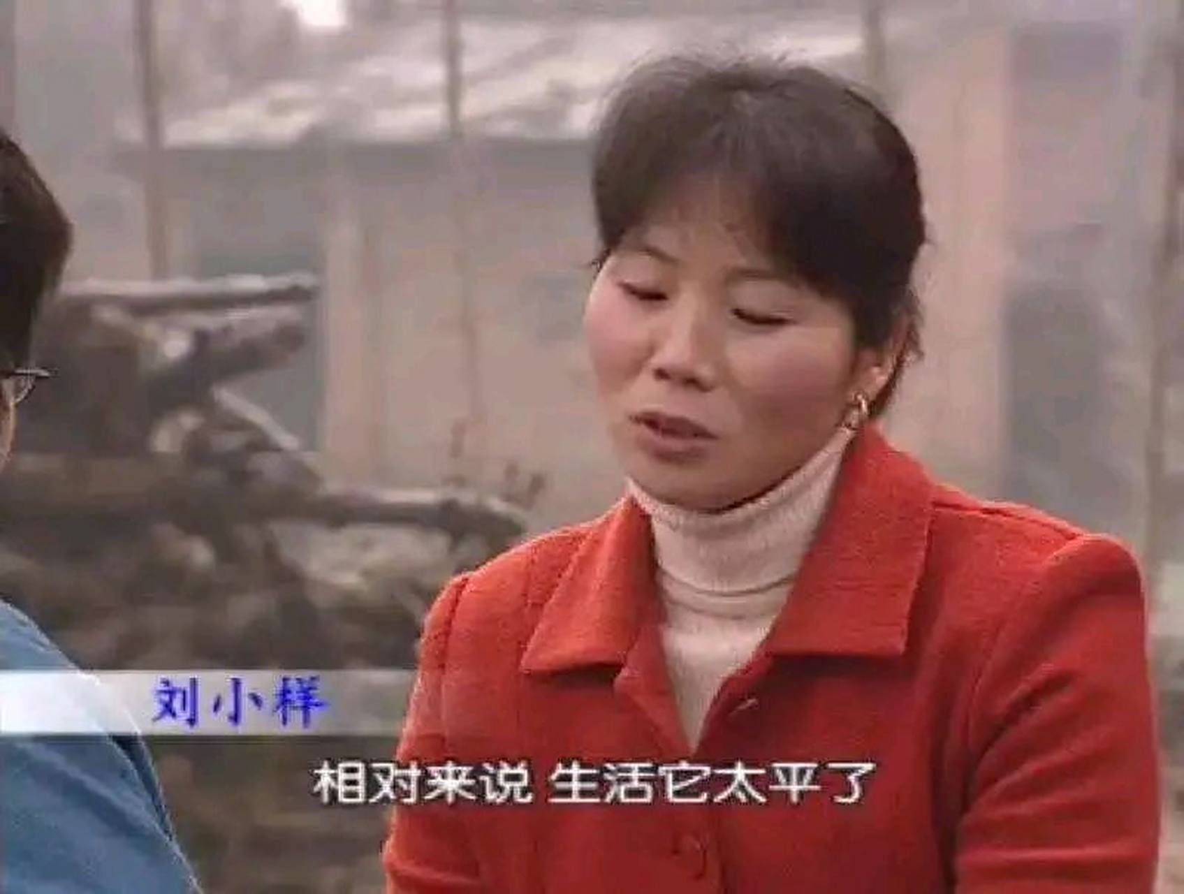 2001年,央视《半边天》栏目曾经采访过一位陕西农村妇女.