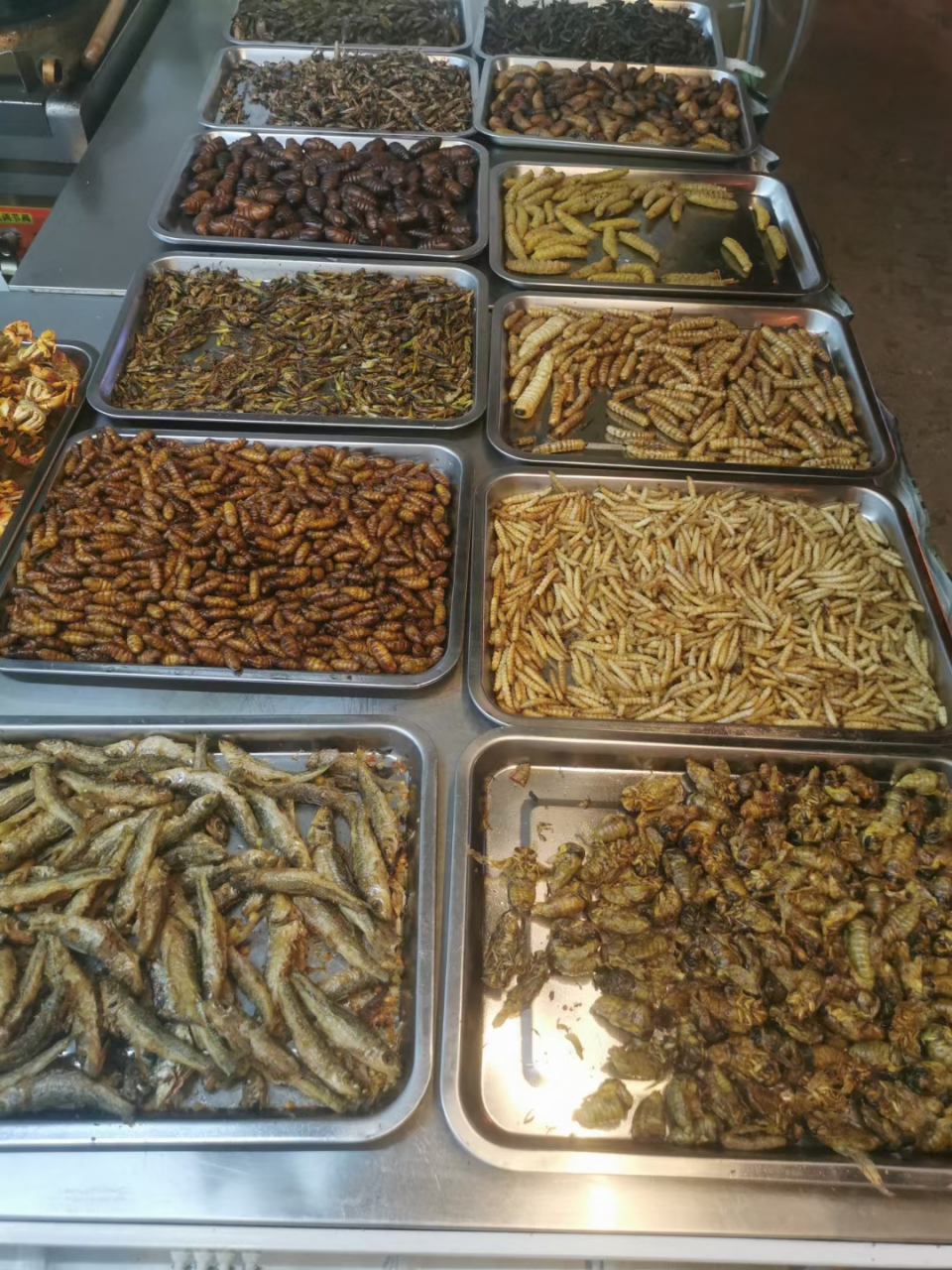 昆虫宴,说说你最喜欢的菜!