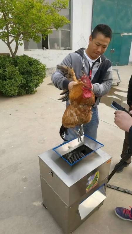 乐世博切鸡块机 商用切鸡块鸭块机-度小视