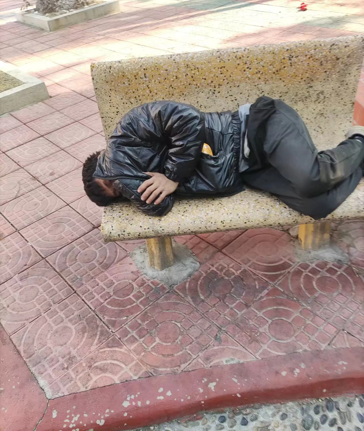 东莞一位20多岁的小伙子,天天睡公园,最懒的年轻人有多懒?