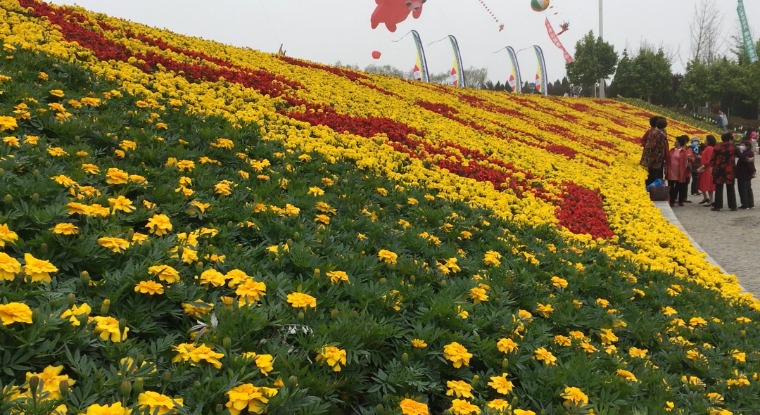 大连金石滩植物园6月20日正式营业