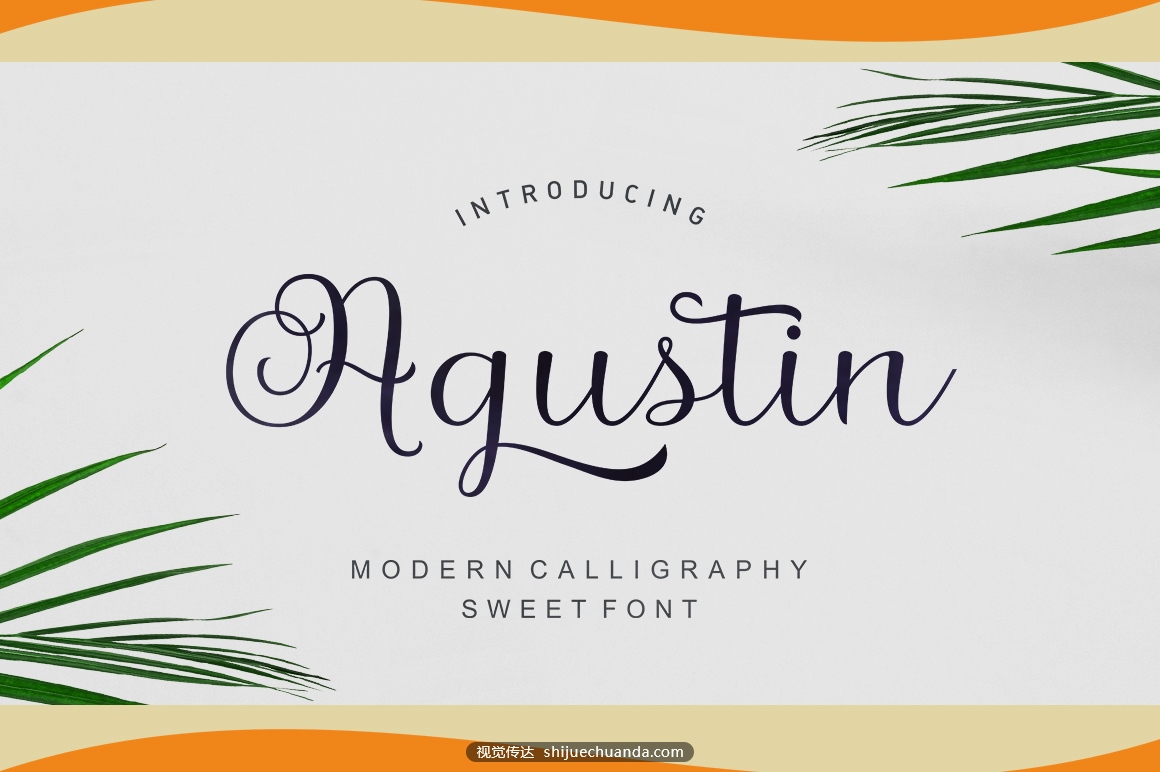 Agustin-Script-by-Stripes-Studio.jpg