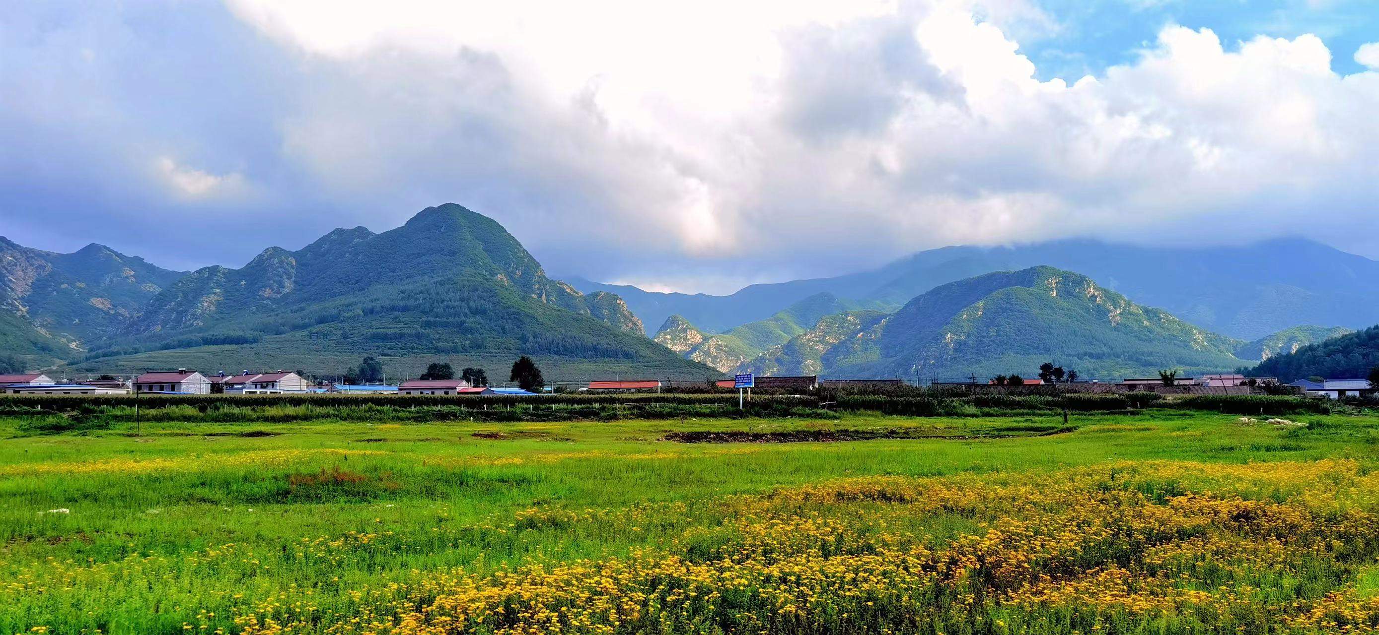 盛夏风景# 读书,是为了获取力量,过好自己这一生.