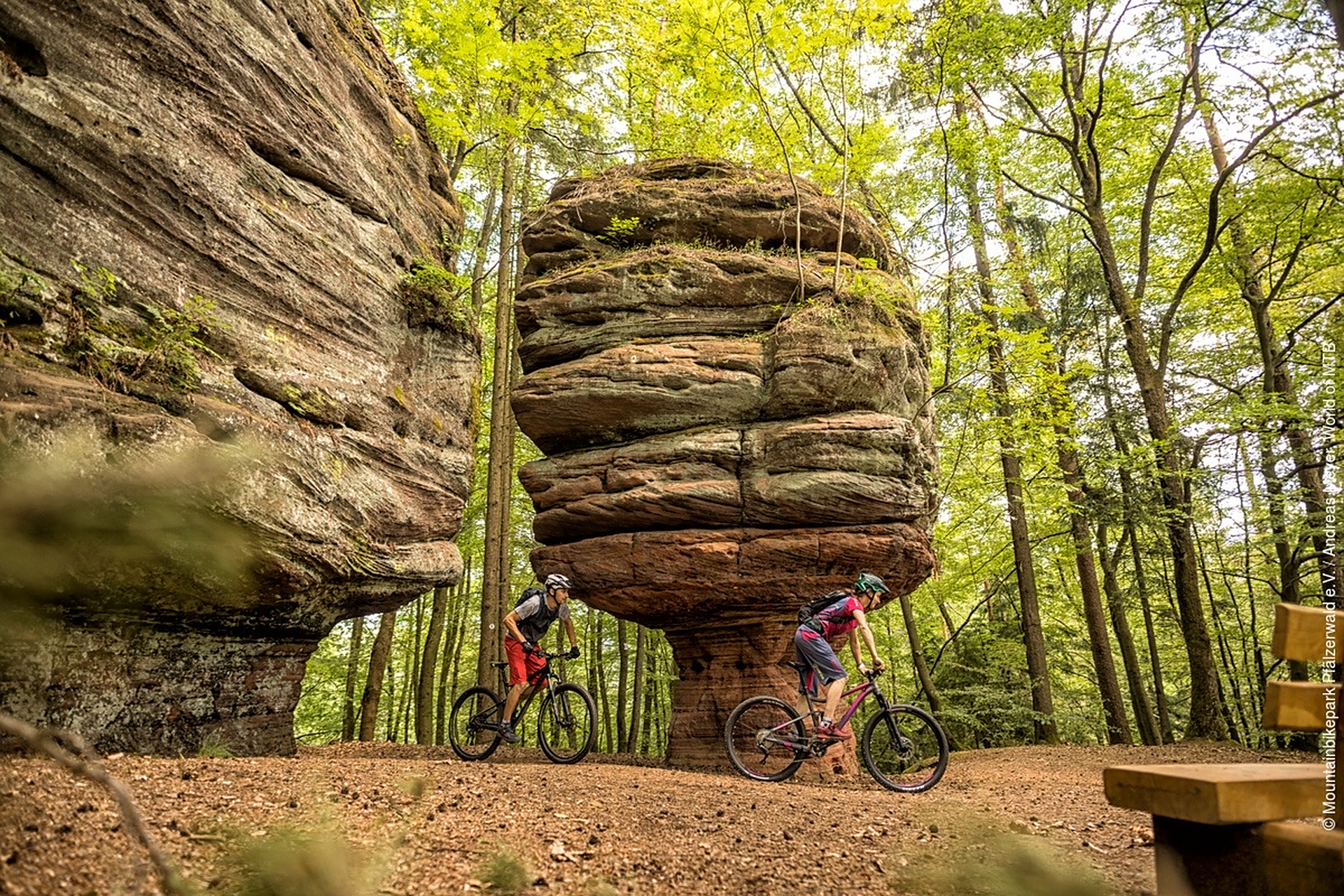 海外文旅# 普法尔茨森林山地自行车公园(mountainbikepark pf01lz