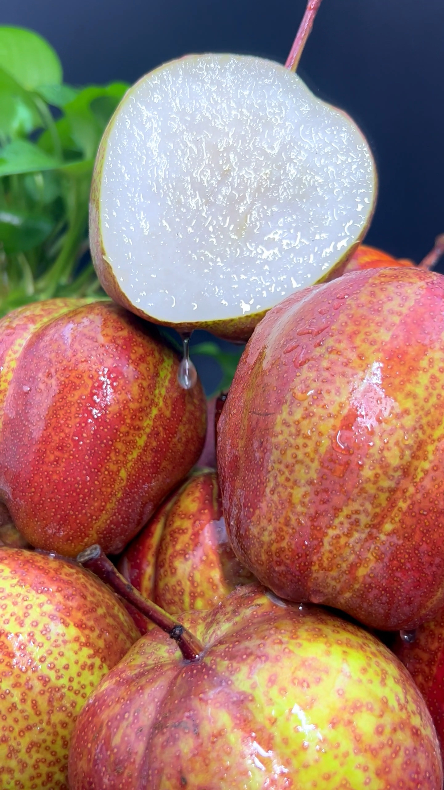 彩虹梨香甜爆汁,风味十足,夏天来一口超解暑!