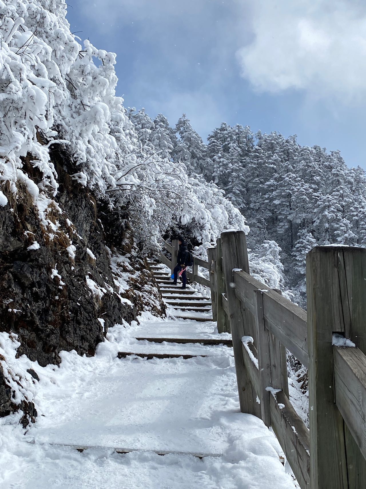 四川孩子突然就想去看看雪,一瞬间就想到了西岭雪山这个成都周边的