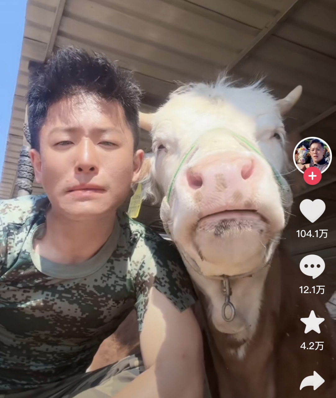 这个人学牛反刍,结果还火了.