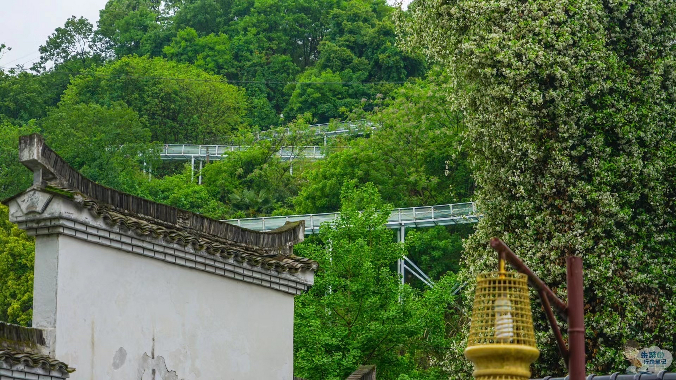 三都渔村,建德三都镇境内的一个渔业自然村  97据说这里是原九姓