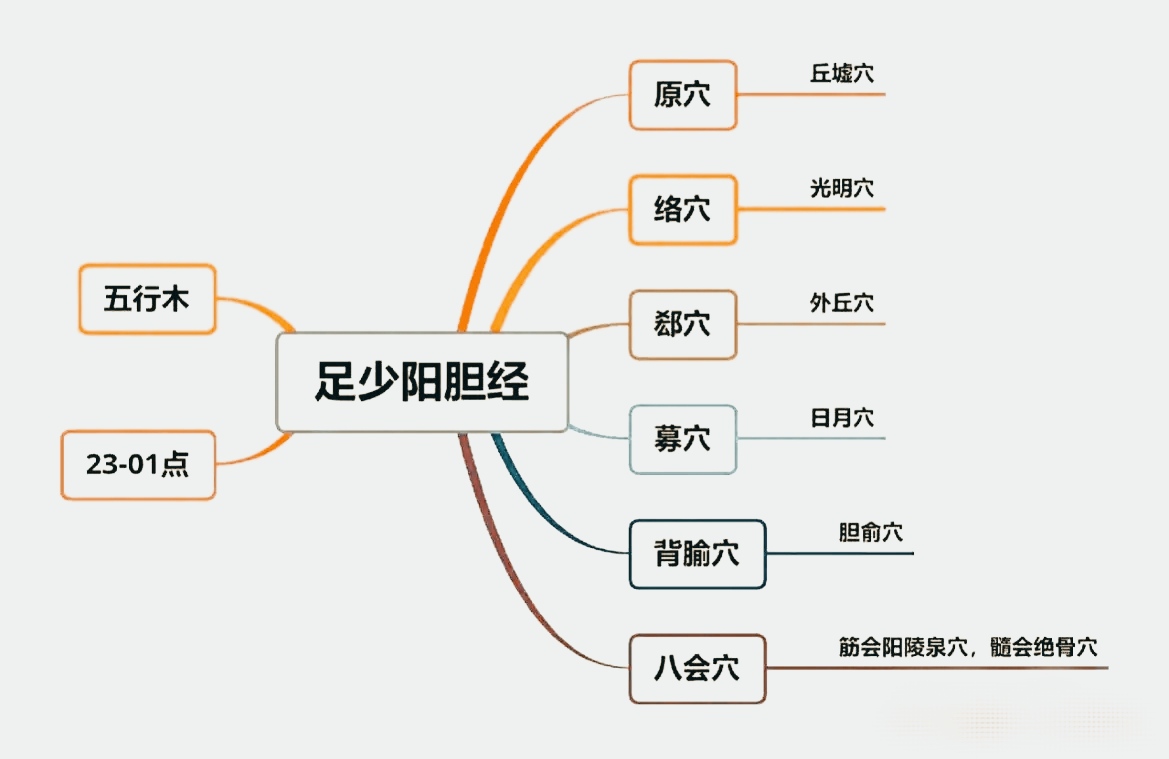 胆经图片位置图片