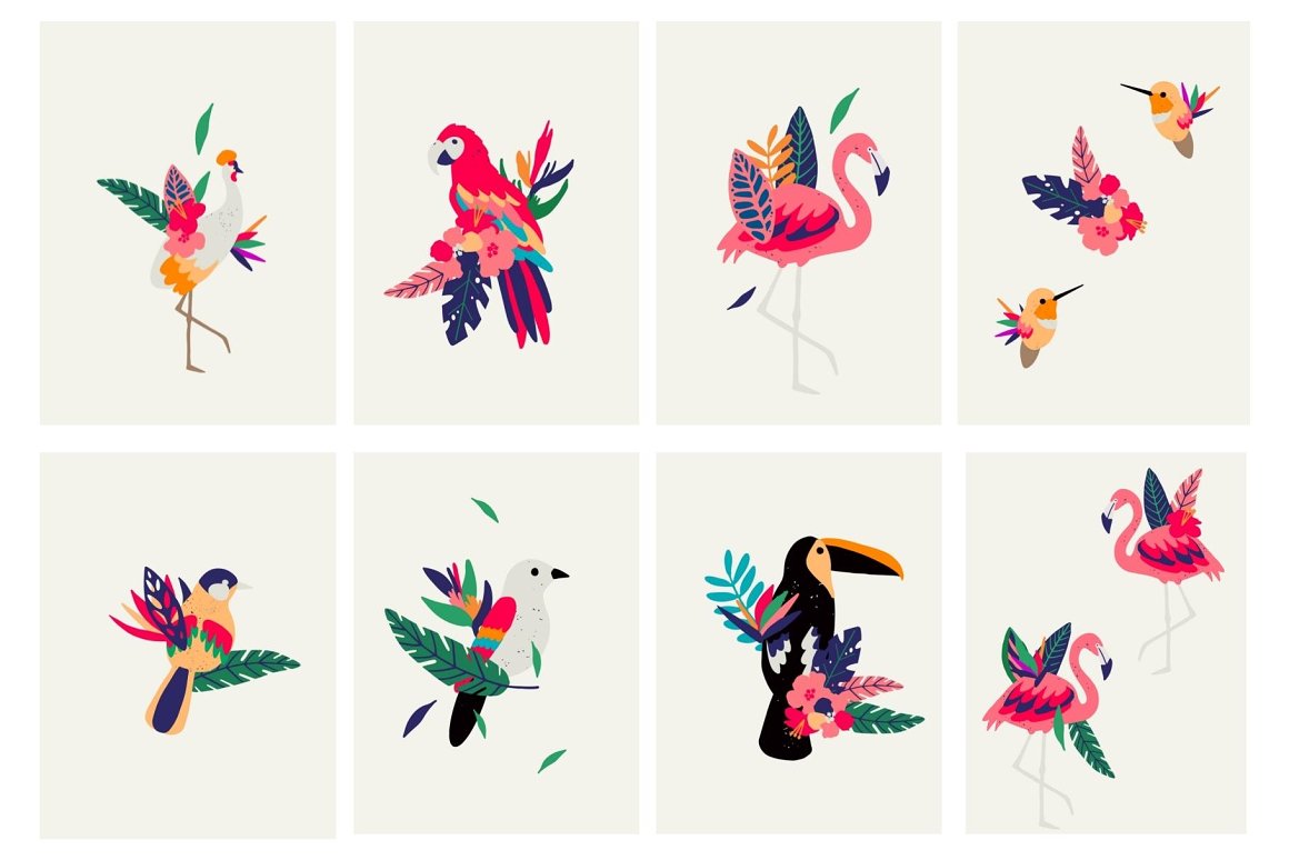 Exotic Birds Collection-14.jpg