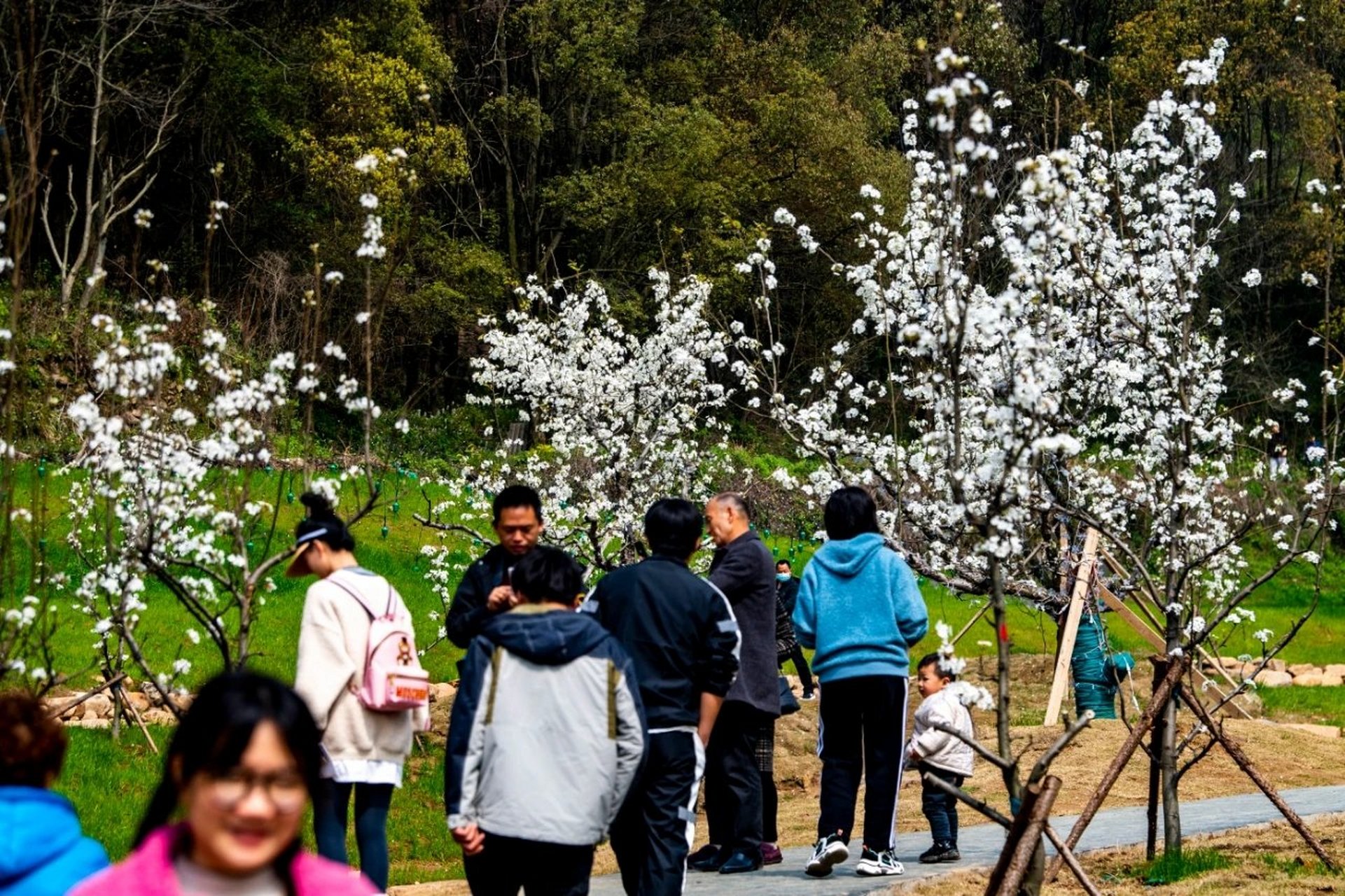 黄石市东方山梨花峪图片